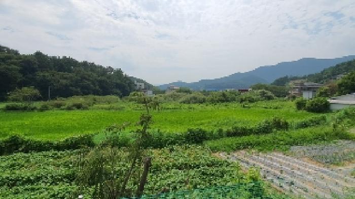 경남 창원시 마산합포구 구산면 답 경매 물건 사진