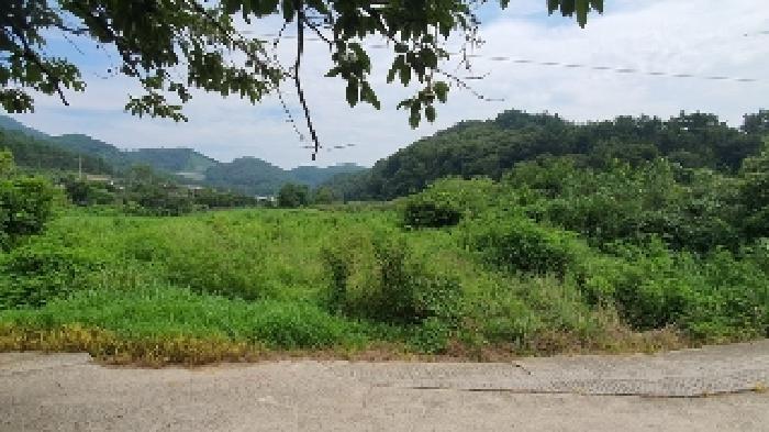 경남 창원시 마산합포구 구산면 답 경매 물건 사진 2 · 2025타경281