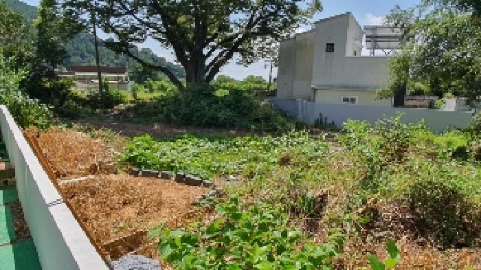 경남 창원시 마산합포구 진동면 대지 경매 물건 사진 3 · 2025타경285