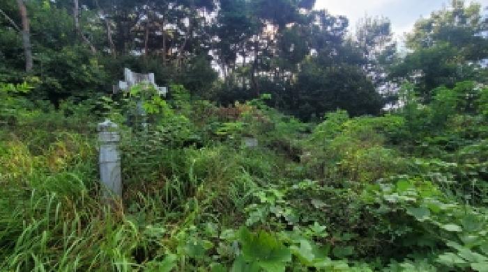 경남 함안군 군북면 임야 경매 물건 사진 3 · 2025타경302
