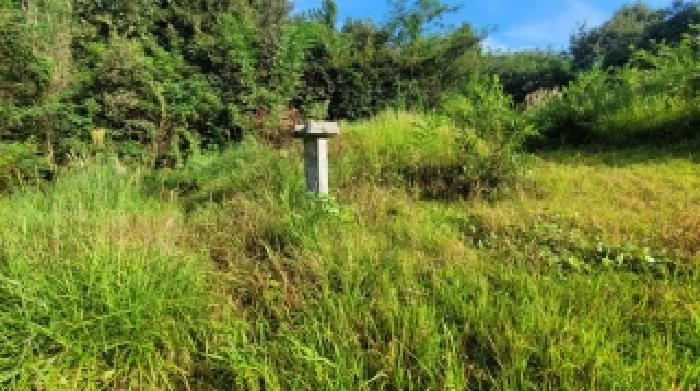 경남 함안군 군북면 임야 경매 물건 사진 4 · 2025타경302