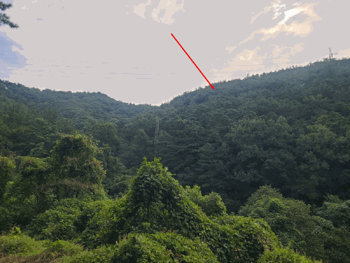 경남 창원시 마산회원구 내서읍 임야 경매 물건 사진 5 · 2025타경309