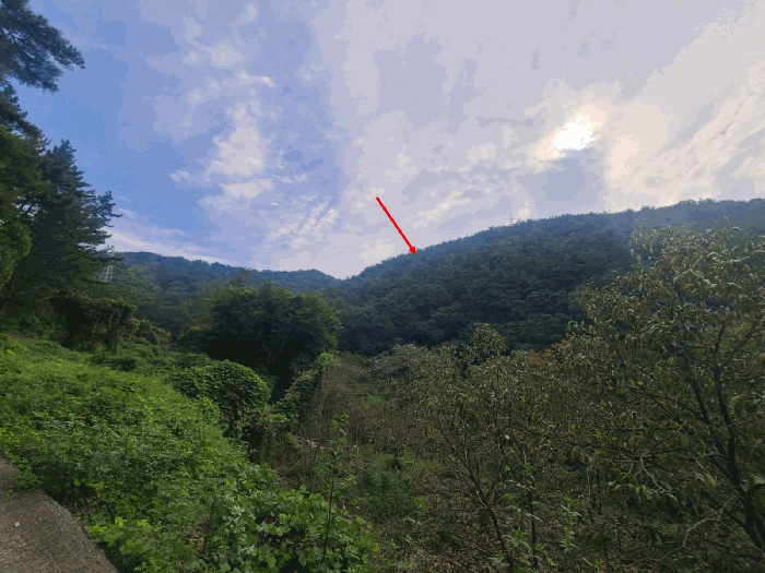 경남 창원시 마산회원구 내서읍 임야 경매 물건 사진 6 · 2025타경309