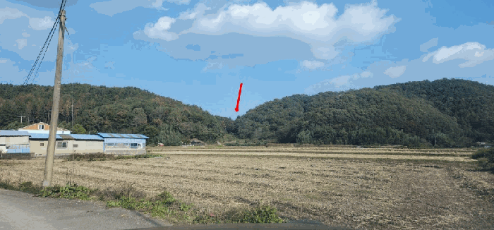 경남 함안군 군북면 전 경매 물건 사진 5 · 2025타경314