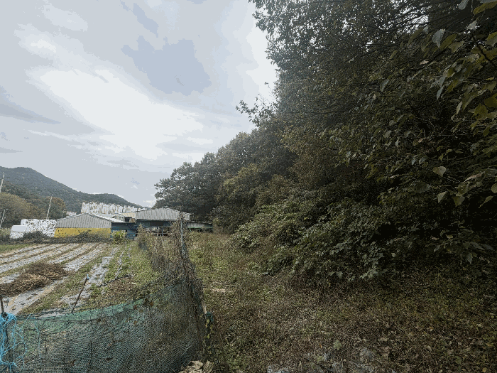 경남 창원시 마산합포구 진북면 임야 경매 물건 사진 5 · 2025타경316