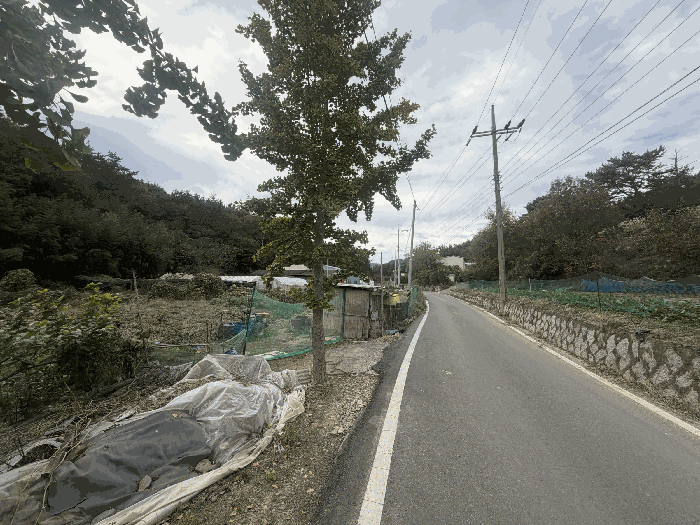 경남 창원시 마산합포구 진북면 임야 경매 물건 사진 6 · 2025타경316