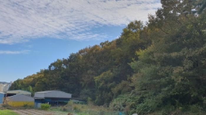경남 창원시 마산합포구 진북면 임야 경매 물건 사진