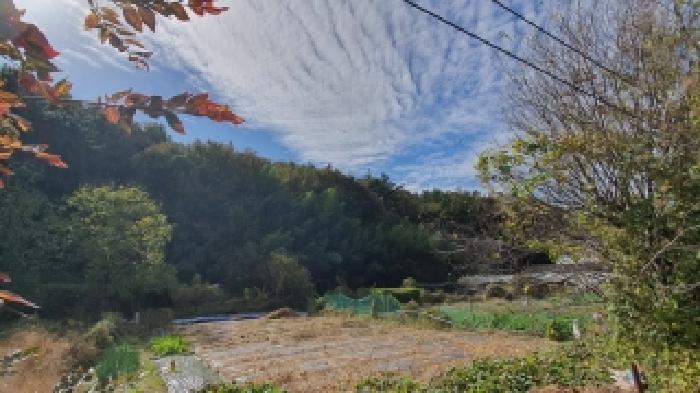 경남 창원시 마산합포구 진북면 임야 경매 물건 사진 2 · 2025타경316