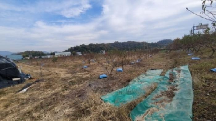 경남 함안군 칠서면 전답 경매 물건 사진