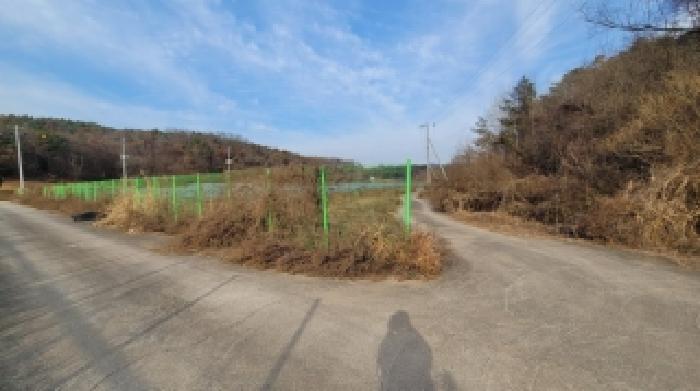 경남 함안군 법수면 답 경매 물건 사진 5 · 2025타경337