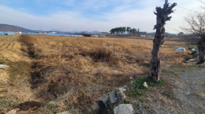 경남 함안군 대산면 답 경매 물건 사진 3 · 2025타경363