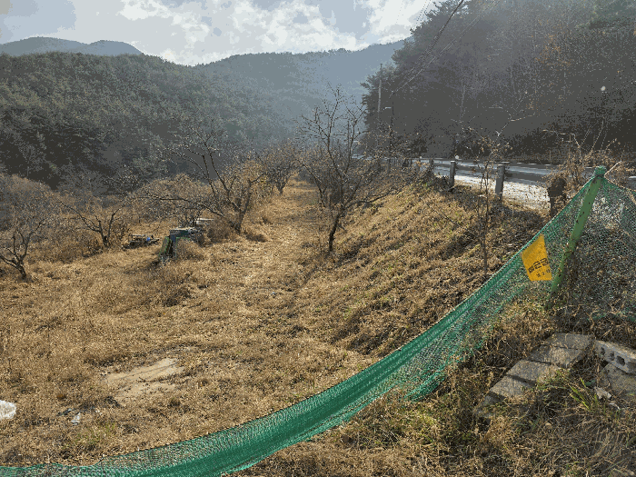 경남 창원시 마산회원구 내서읍 답 경매 물건 사진 5 · 2025타경370