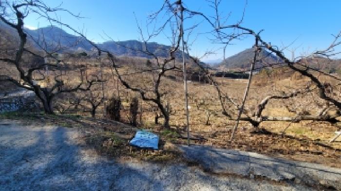 경남 함안군 칠북면 과수원 경매 물건 사진