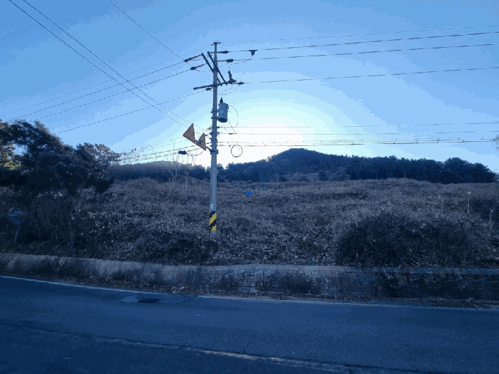 경상남도 창원시 마산합포구 구산면 심리 317 대지,임야,전답 경매 물건 사진