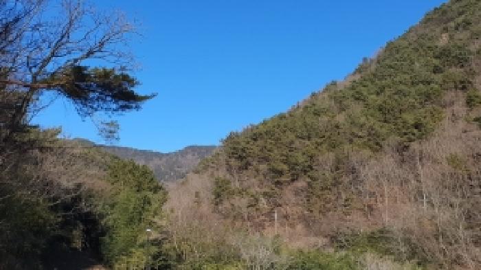 경남 창원시 마산합포구 진전면 대지,임야,전답 경매 물건 사진