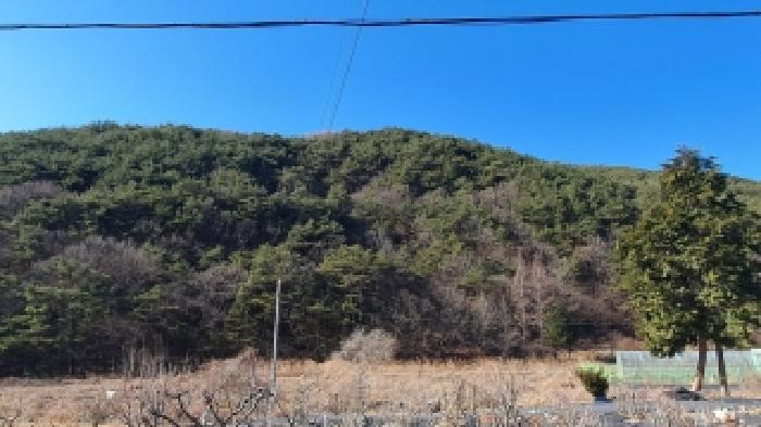 경남 창원시 마산합포구 진전면 대지,임야,전답 경매 물건 사진 3 · 2025타경387