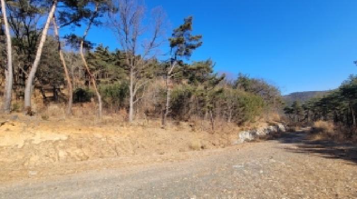 경남 의령군 부림면 임야 경매 물건 사진 2 · 2025타경394