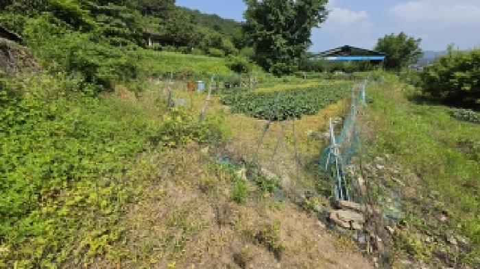 경남 함안군 산인면 대지,임야,전답 경매 물건 사진 2 · 2026타경103