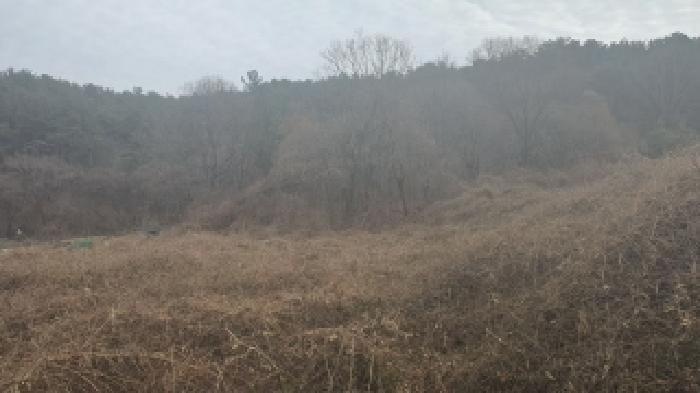 경남 창원시 마산합포구 구산면 전답 경매 물건 사진