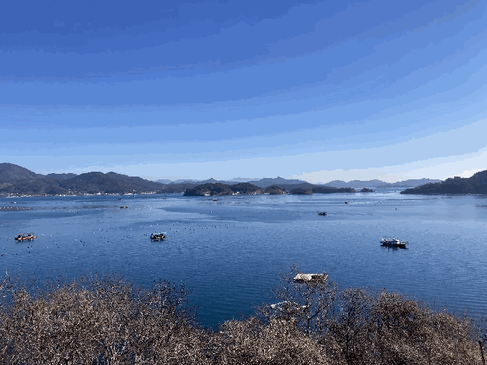 경남 창원시 마산합포구 진전면 어업권 경매 물건 사진 4 · 2026타경20050