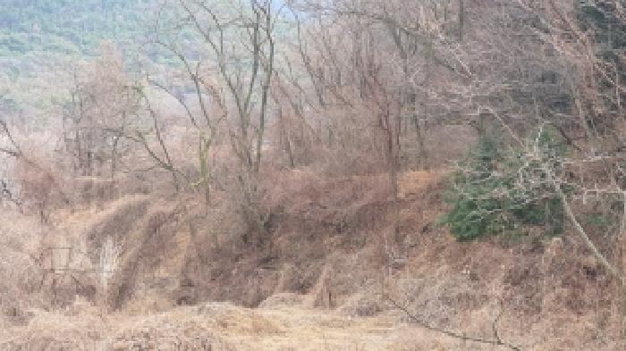 경남 창원시 마산합포구 진북면 단독주택 경매 물건 사진