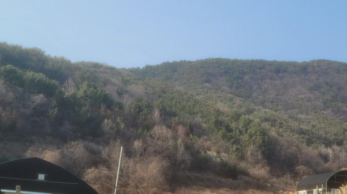 경남 창원시 마산회원구 내서읍 임야 경매 물건 사진