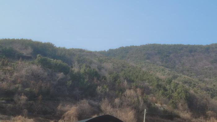 경남 창원시 마산회원구 내서읍 임야 경매 물건 사진 2 · 2026타경20103