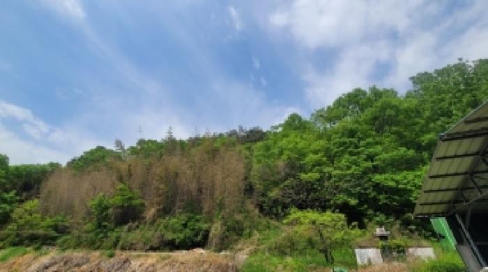 경남 의령군 궁류면 임야 경매 물건 사진 2 · 2026타경20185