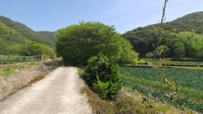 경남 창원시 마산합포구 진전면 전답 경매 물건 사진 4 · 2026타경20195