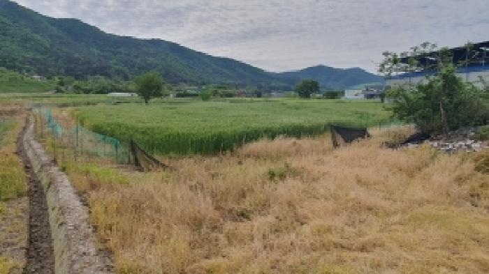 경남 창원시 마산합포구 진북면 전답 경매 물건 사진