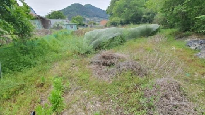 경남 창원시 마산합포구 진전면 전답 경매 물건 사진 3 · 2026타경20209