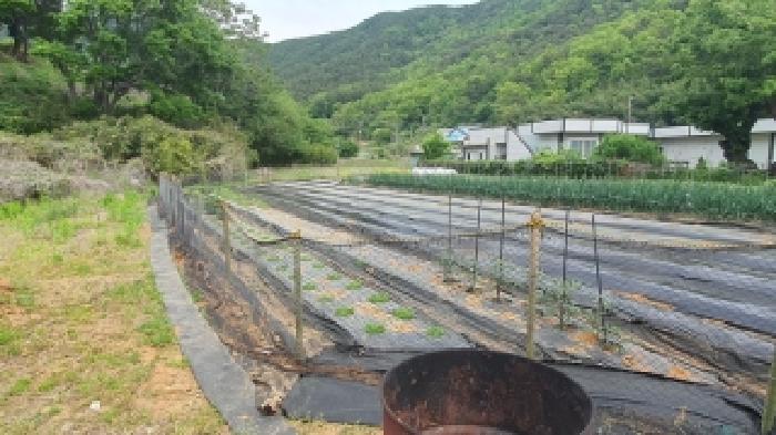 경남 창원시 마산합포구 진전면 전답 경매 물건 사진 4 · 2026타경20209