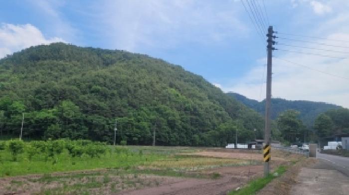 경남 의령군 봉수면 임야 경매 물건 사진