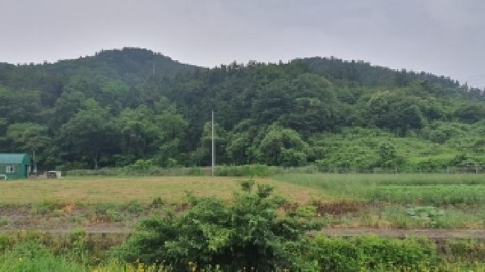 경남 창원시 마산합포구 구산면 전답 경매 물건 사진