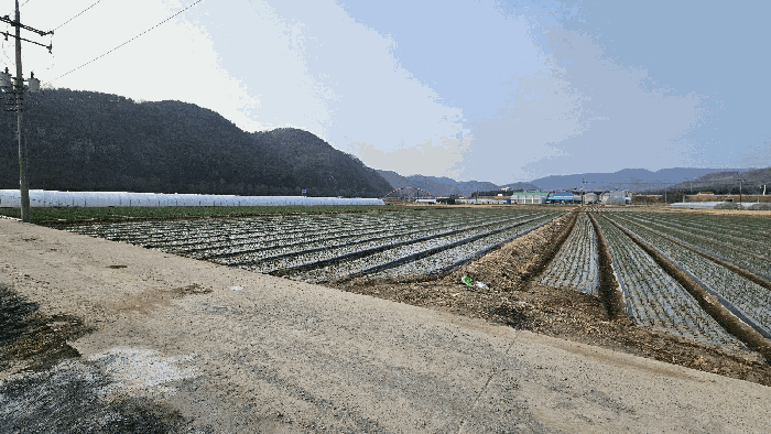경남 의령군 부림면 답 경매 물건 사진 4 · 2026타경30