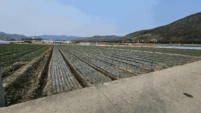 경남 의령군 부림면 답 경매 물건 사진 5 · 2026타경30