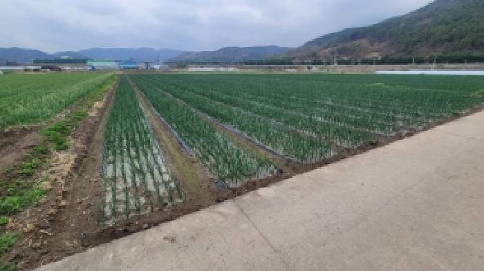 경남 의령군 부림면 답 경매 물건 사진