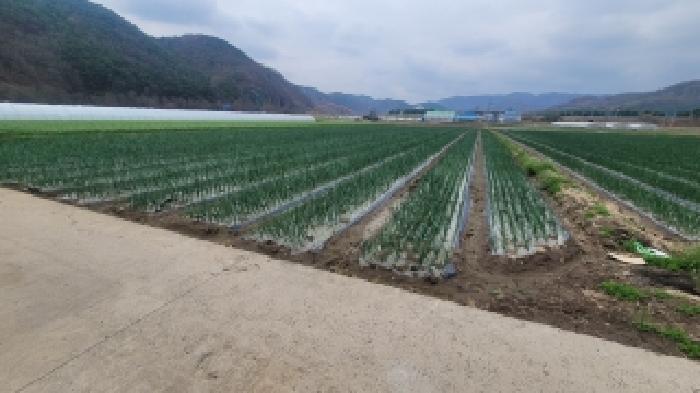 경남 의령군 부림면 답 경매 물건 사진 2 · 2026타경30