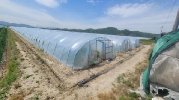 경남 함안군 대산면 전답 경매 물건 사진 3 · 2026타경58