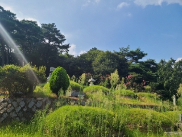 전남 장성군 진원면 임야 경매 물건 사진