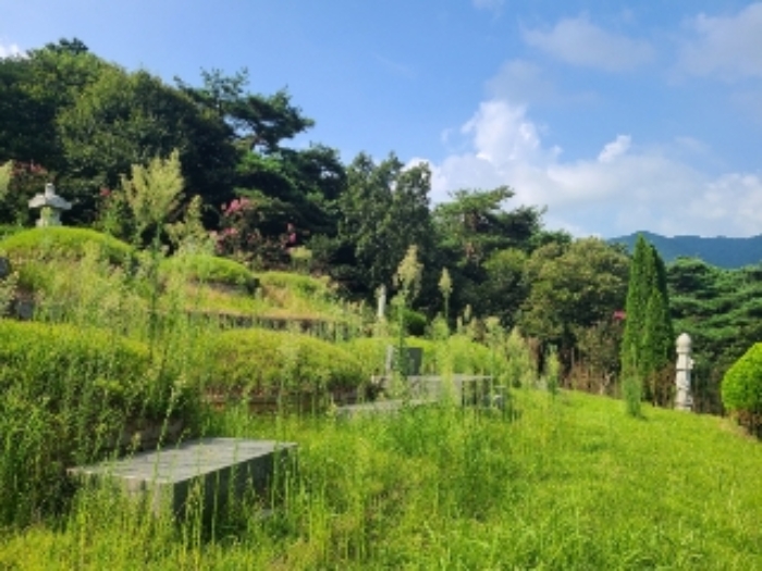 전남 장성군 진원면 임야 경매 물건 사진 2 · 2022타경5329