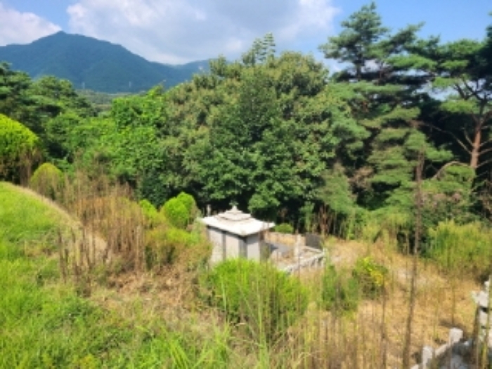 전남 장성군 진원면 임야 경매 물건 사진 4 · 2022타경5329