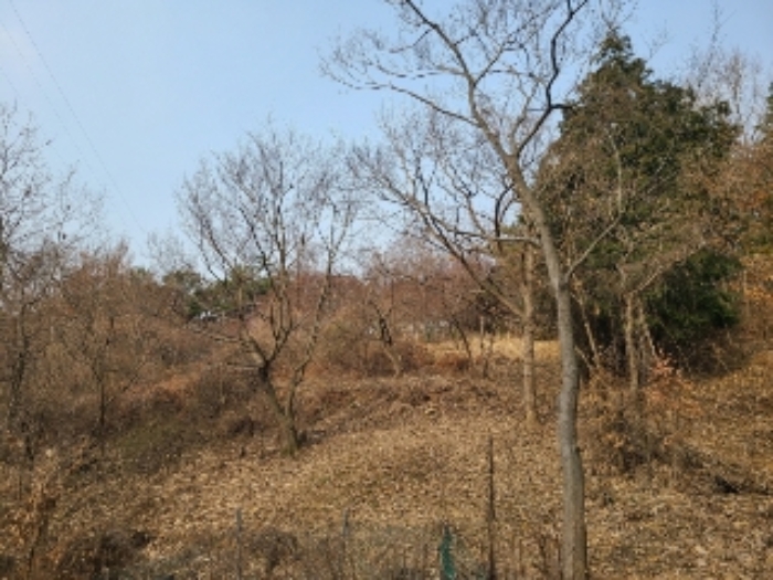 광주 북구 청풍동 전 경매 물건 사진 3 · 2023타경63209