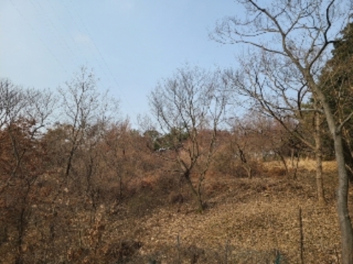 광주 북구 청풍동 전 경매 물건 사진 4 · 2023타경63209