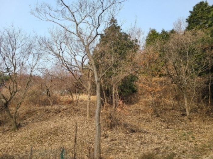 광주 북구 청풍동 전 경매 물건 사진 5 · 2023타경63209