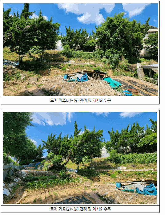 광주광역시 남구 월산동 117-3 전 경매 물건 사진