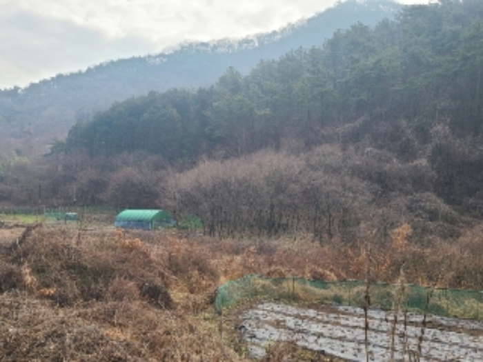 전남 화순군 화순읍 답 경매 물건 사진 4 · 2024타경724