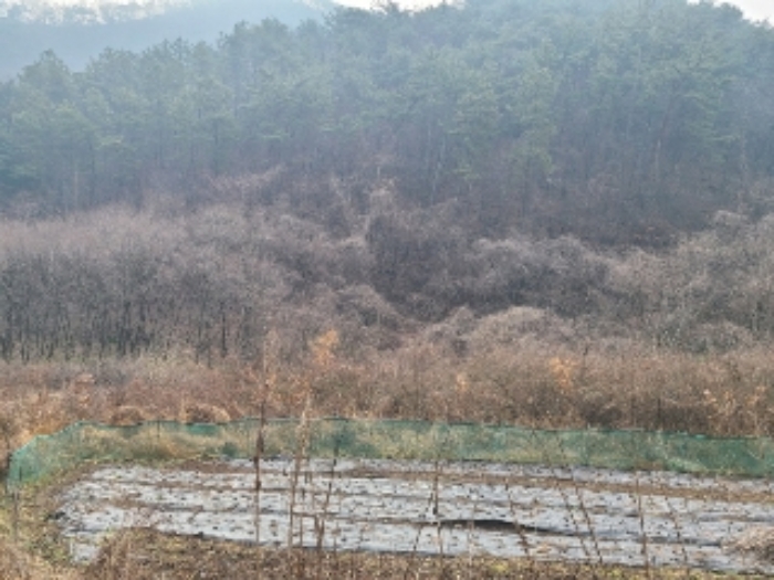 전남 화순군 화순읍 답 경매 물건 사진 5 · 2024타경724