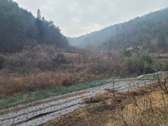 전남 화순군 화순읍 답 경매 물건 사진 6 · 2024타경724