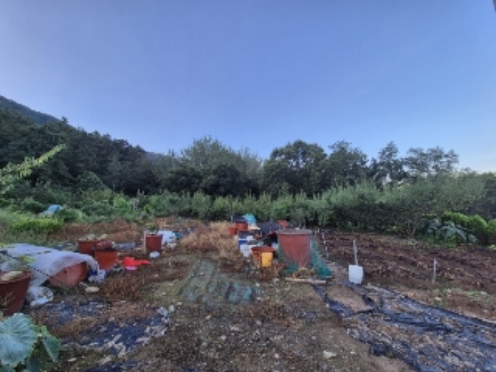 전남 나주시 봉황면 답 경매 물건 사진 4 · 2024타경80270